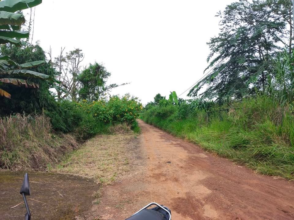 Đất nền Lộc Bắc Bảo Lâm 19.900m² giá 2.88 tỷ - Cơ hội đầu tư lý tưởng!