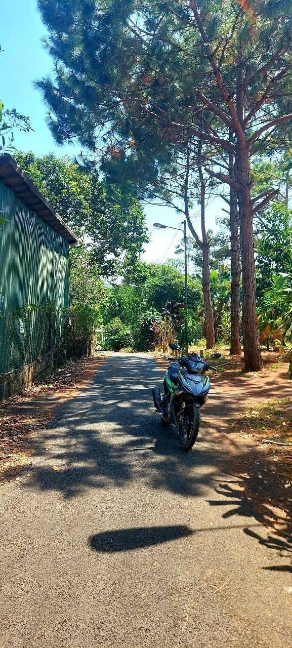 Nhà hẻm 297 Phan Đình Phùng, Bảo Lộc 780m² giá 5.1 tỷ - Khu dân cư đông đúc, ô tô vào tận nơi!