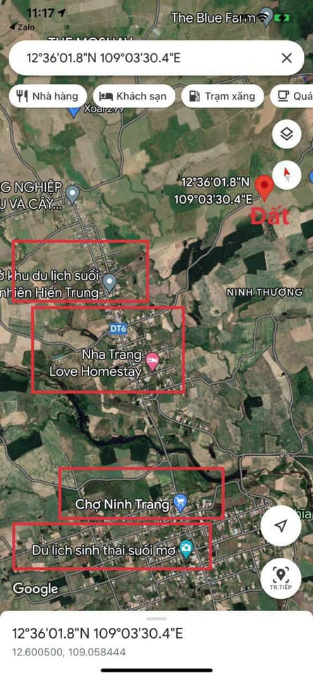 Vườn Xoài 3.615,5m² tại Ninh Thượng, Khánh Hòa chỉ 390 triệu - Đầu tư lý tưởng!