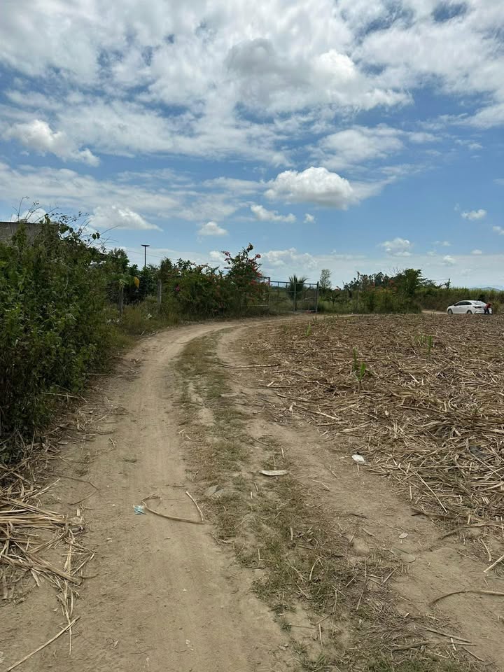 Đất nền 6222m² tại Thôn 1, Ninh Thượng, Khánh Hòa - Giá chỉ 850 triệu VND!