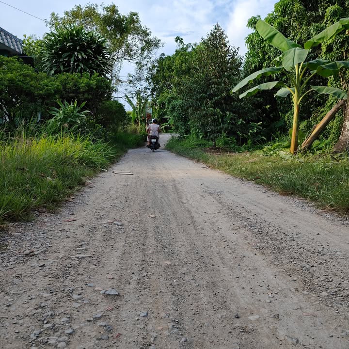 Đất vườn sầu riêng và măng cụt Cần Thơ 1208m² giá 1.9 tỷ - Đầu tư sinh lời ngay!