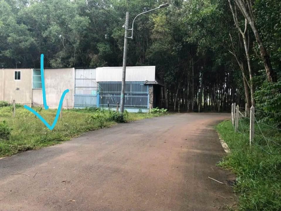 Đất thổ cư Long Tân 250m² giá 250 triệu - Bán nhanh chính chủ!