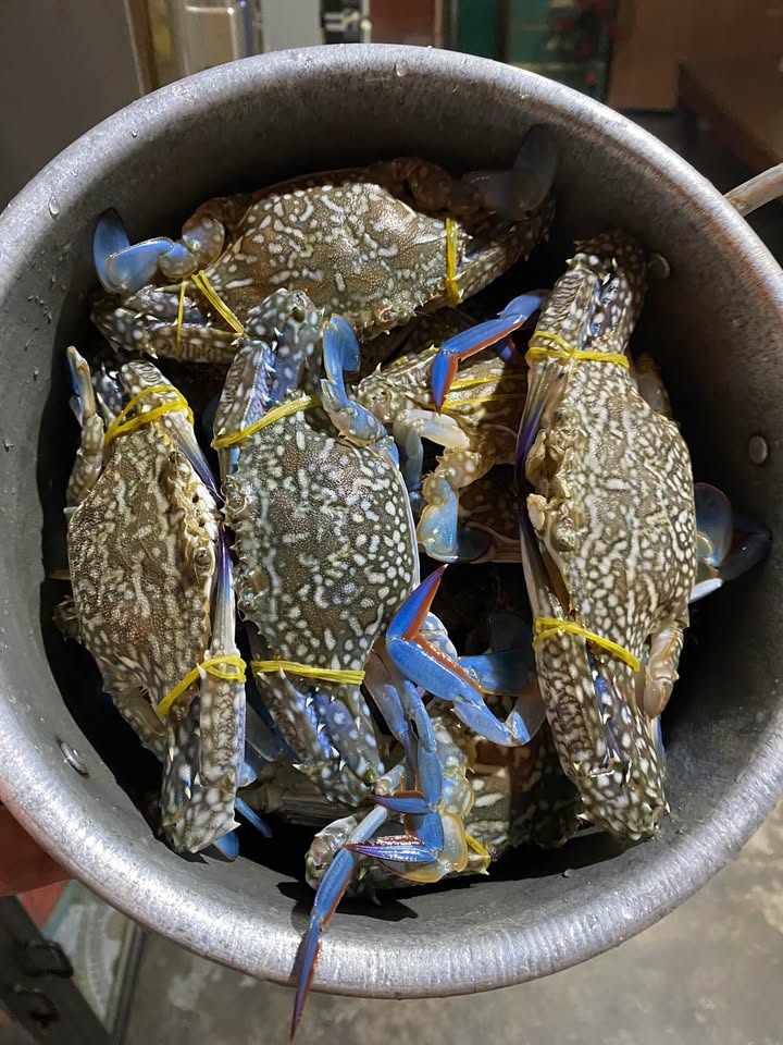 Đất 2 mặt tiền Xã Long Phước TP Bà Rịa 287.7m² giá 1.15 tỷ - Sổ hồng trao tay!