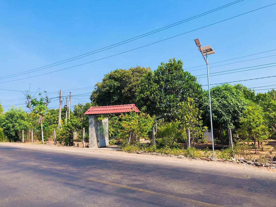 Đất nền thổ cư QL 55, Sơn Mỹ 237m² giá chỉ 1.25 tỷ - Cơ hội đầu tư sinh lời!