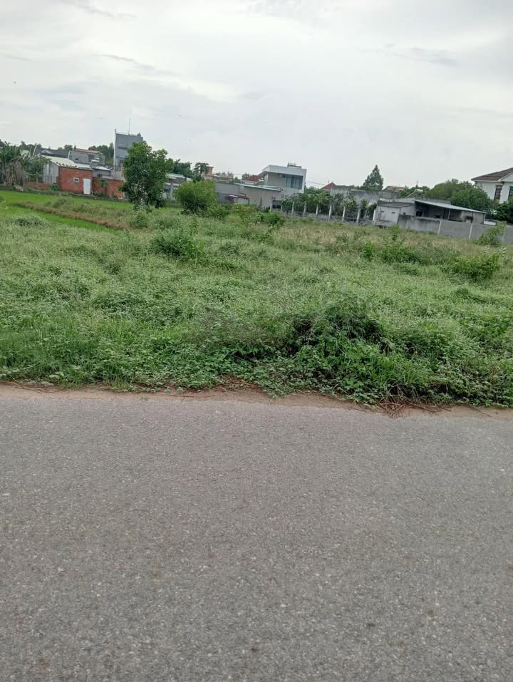 Đất nền 1730m² mặt tiền đường nhựa Long Điền - Giá chỉ 2 tỷ
