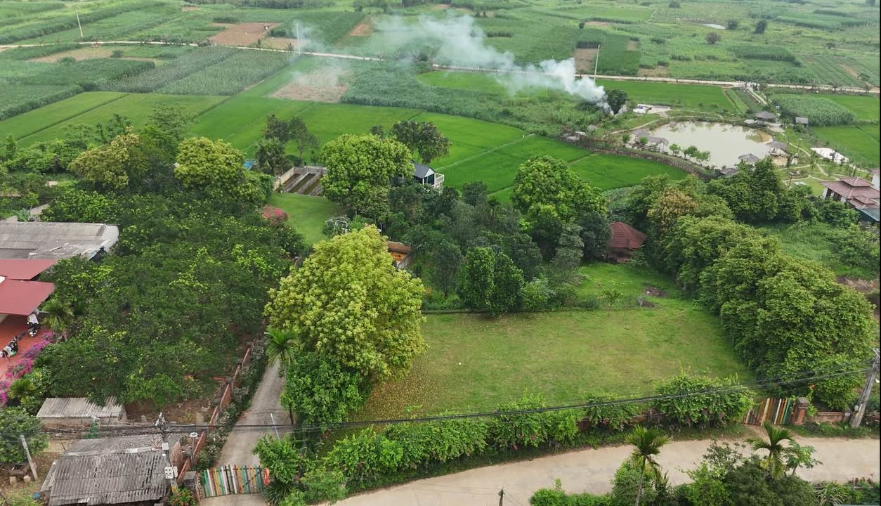 Đất nền Yên Bài, Ba Vì 1900m² chỉ từ 8 triệu/m² - View cánh đồng lúa tuyệt đẹp!