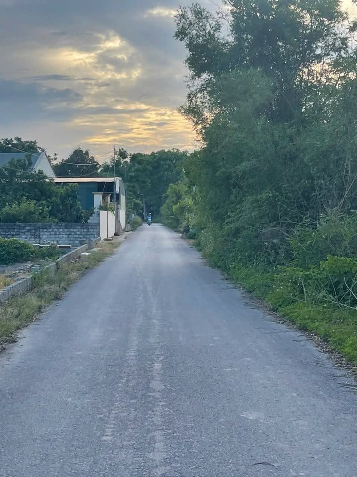 Đất nền Quảng Định 401m² giá thương lượng - Vị trí vàng đầu tư sinh lời!