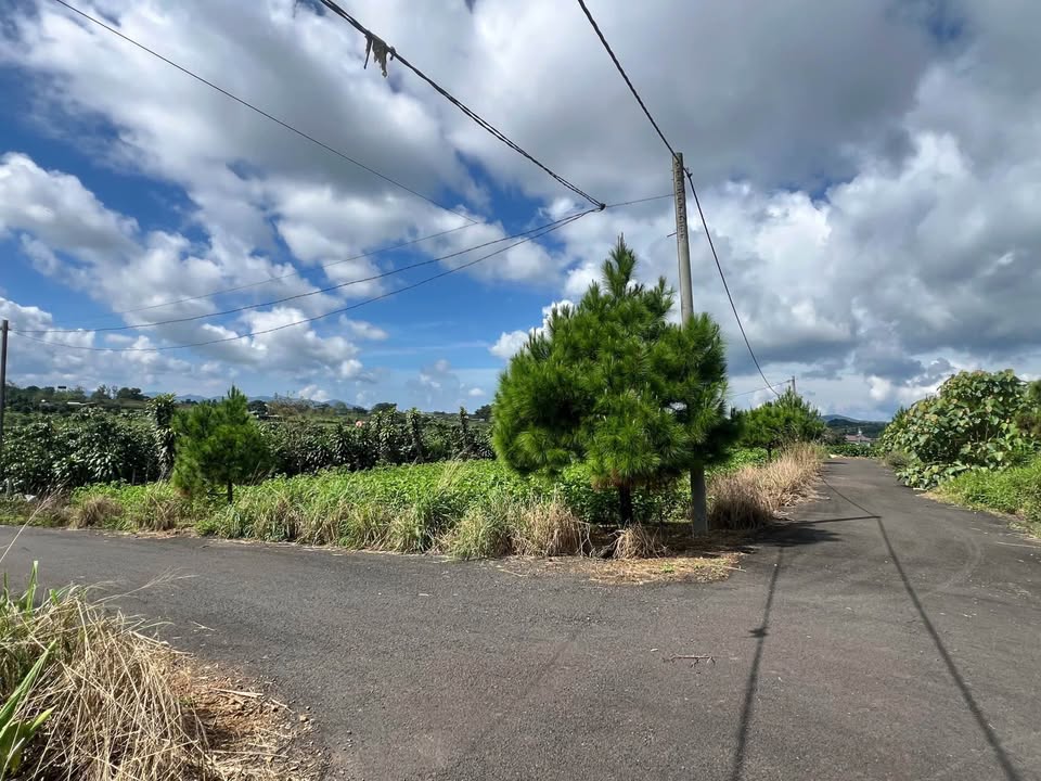 Đất thổ cư Bảo Lộc 647m² giá 1.79 tỷ - Sổ hồng chính chủ, bớt lộc!