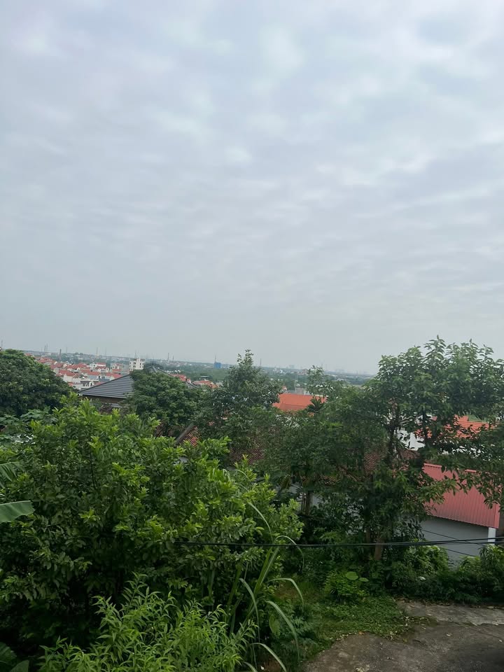 Đất nền Hưng Đạo Quốc Oai 730m² giá chỉ 1x triệu - Đầu tư sinh lời cao!