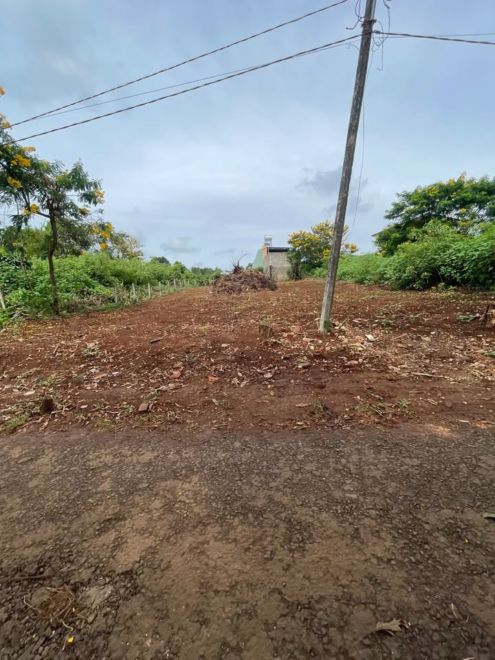 Đất thổ cư Hẻm 196 Lê Thánh Tôn 208m² giá 1.5 tỷ - Cơ hội đầu tư tuyệt vời!