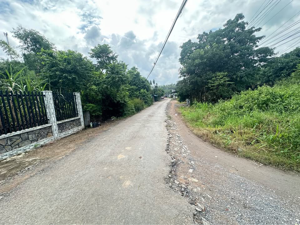 Đất nền An Hoà Trảng Bàng 525m² giá chỉ 220 triệu - Cơ hội đầu tư sinh lời!