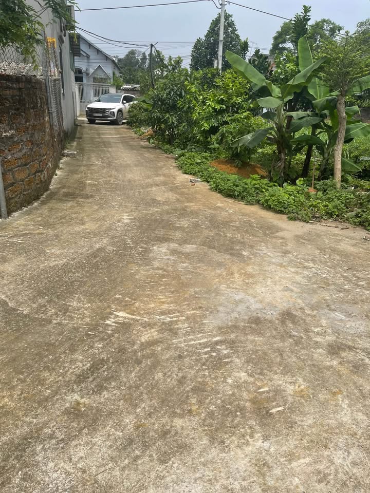 Đất thổ cư 109,6m² tại Đồng Tâm, Mỹ Đức chỉ 1 tỷ - Đầu tư sinh lời ngay!