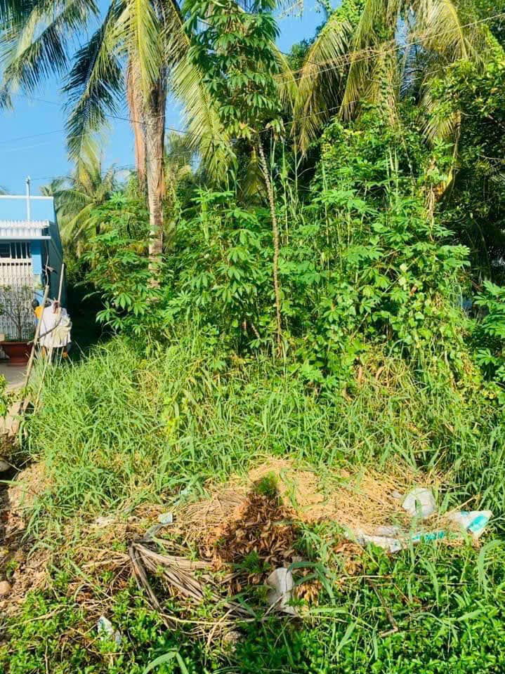 Đất nền Quốc lộ 1A Vĩnh Lợi 200m² giá chỉ 1.2 tỷ - Cần bán gấp!