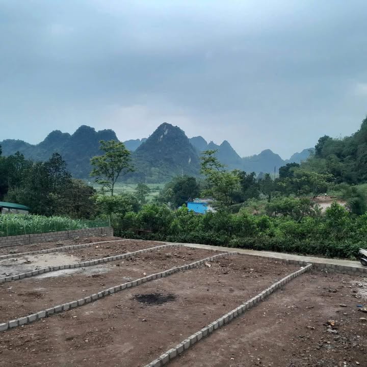 Đất nền Cao Dương Lương Sơn 103m² giá 300 triệu - Sổ đỏ chính chủ, đầu tư sinh lời!