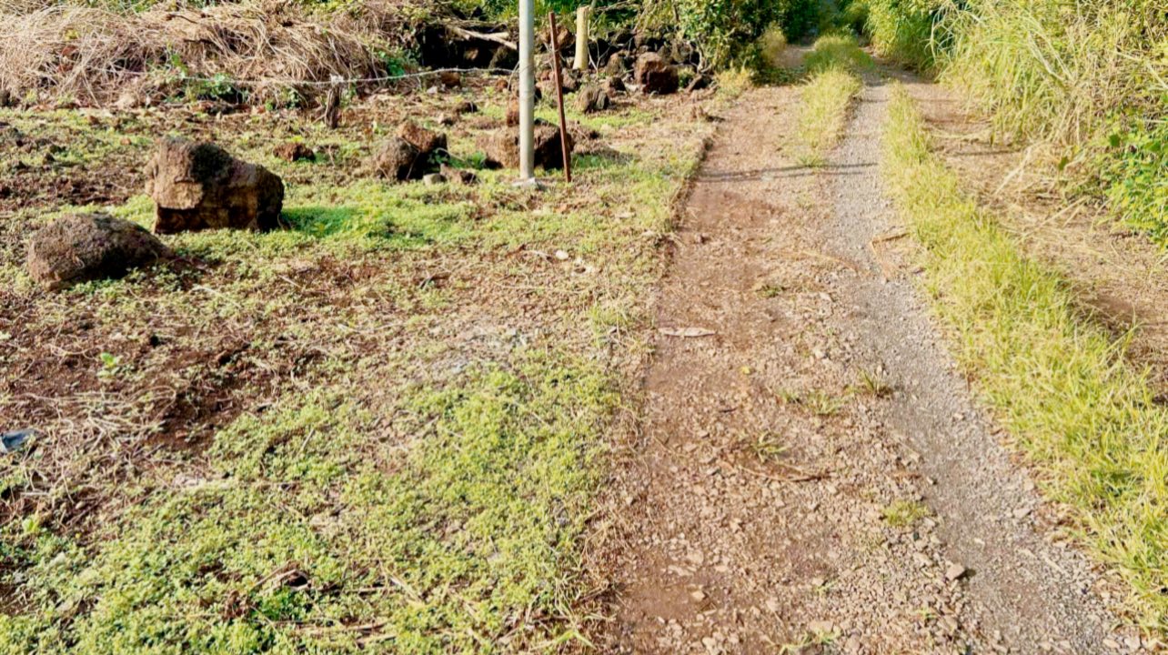 Đất thổ cư 150m² Phú Vinh, Định Quán giá chỉ 329 triệu - Cơ hội đầu tư tuyệt vời!