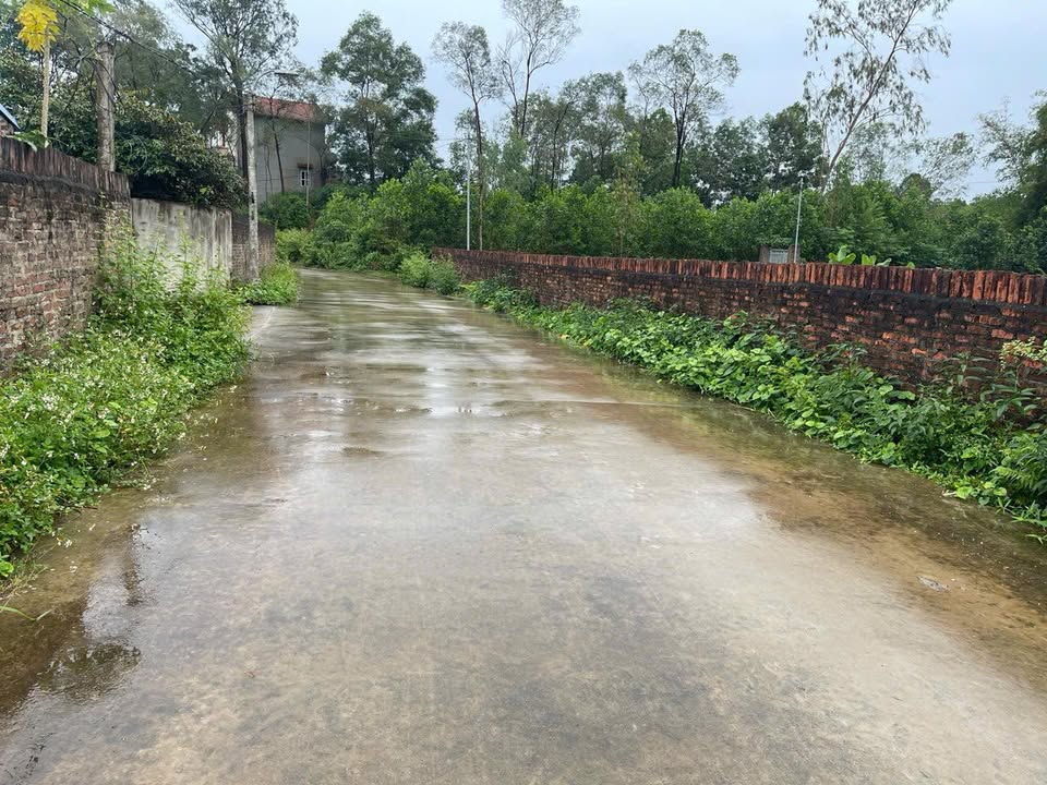 Đất xây biệt thự Đắc Sơn Phổ Yên 600m² giá 1 tỷ - Tiềm năng đầu tư hấp dẫn!