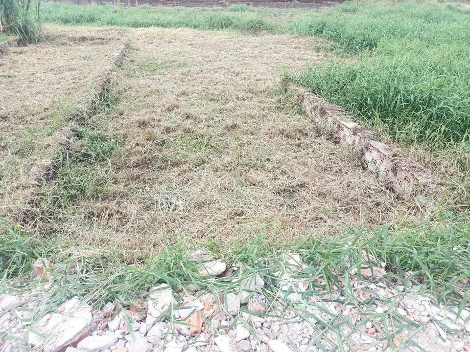 Đất nền Vĩnh Lộc A, huyện Bình Chánh, 52m² giá chỉ 270 triệu - Cơ hội đầu tư tuyệt vời!