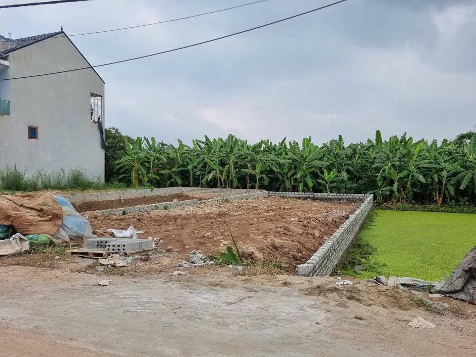 Đất nền Triệu Việt Vương 80m² giá 2 tỷ - Tiềm năng đầu tư sinh lời cao!