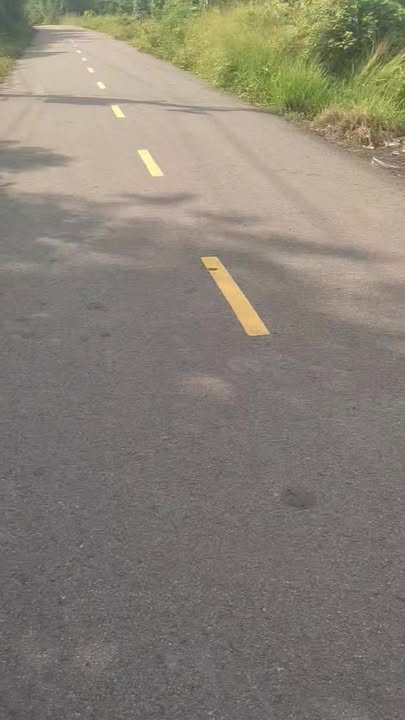 Lô đất Phước Thuận, Xuyên Mộc 519,5m² giá 2.7 tỷ - Đầu tư sinh lời tốt!