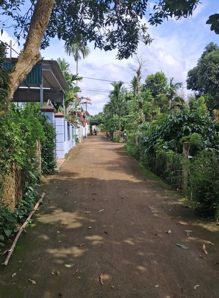 Đất Tân Lợi, Buôn Ma Thuột 120m² giá 1.5 tỷ - Đầu tư lý tưởng!