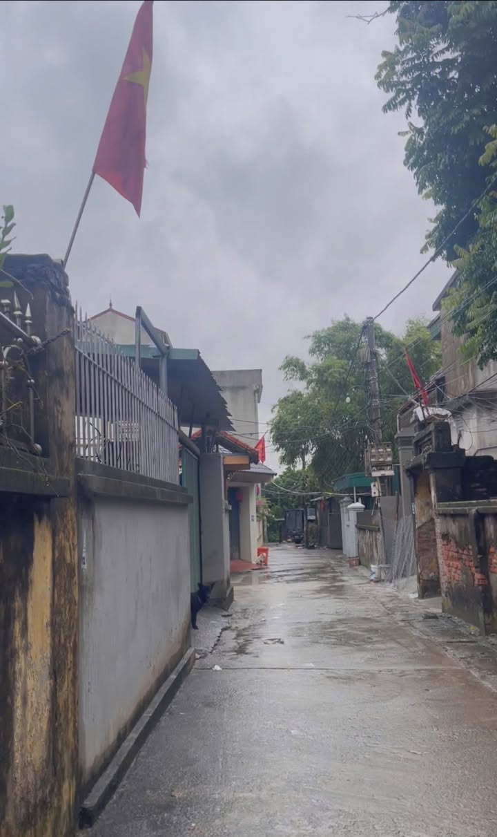 Nhà 3 Tầng Tô Hiệu, Thường Tín 94m² giá 4.9 tỷ - Đường ô tô tránh, tiện ích đầy đủ!