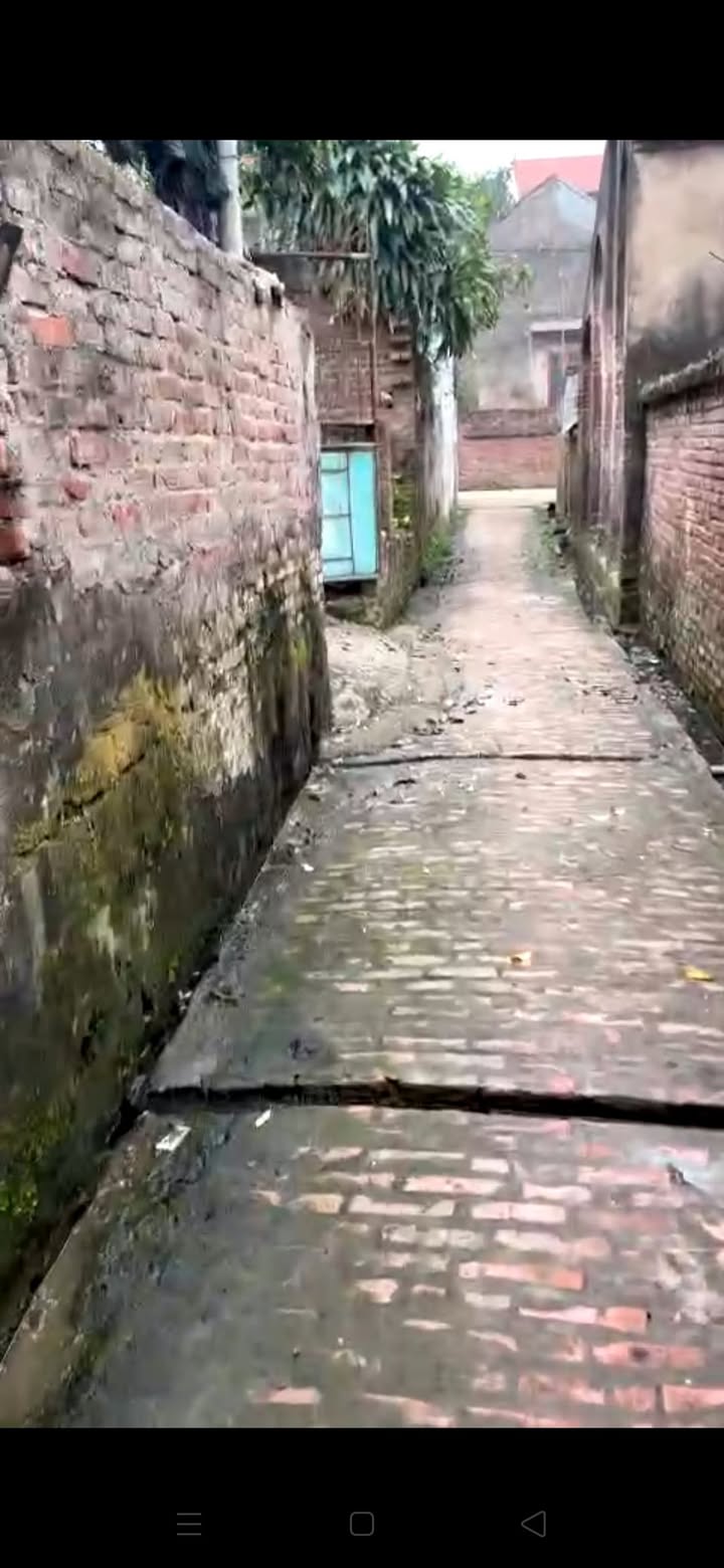 Đất nền Khai Thái, Phú Xuyên 66m² - Vị trí thuận lợi, giá thỏa thuận!