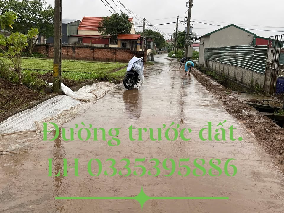 Đất Thư Dương, Thường Tín 56,2m² giá 3,3 tỷ - Hướng Nam mát mẻ, tiện ích đầy đủ!
