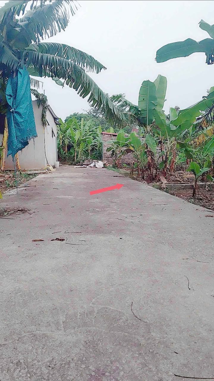 Đất thổ cư 97m² tại xã Ông Đình, Hưng Yên - Đầu tư tiềm năng, giá chỉ 1 tỷ!