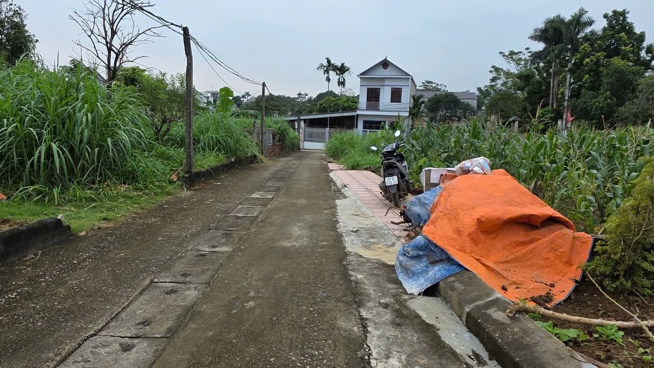 Đất nền Quốc Oai 244m² giá thỏa thuận - Gần hồ điều hòa, tiện ích đầy đủ!