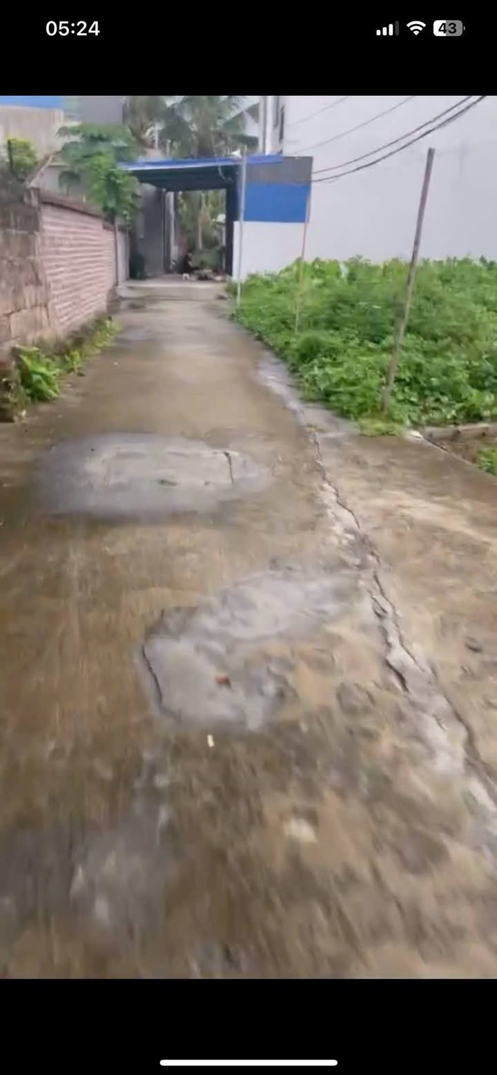 Đất nền Văn Đẩu, Kiến An 61m² giá 1.1 tỷ - Đầu tư sinh lời ngay!