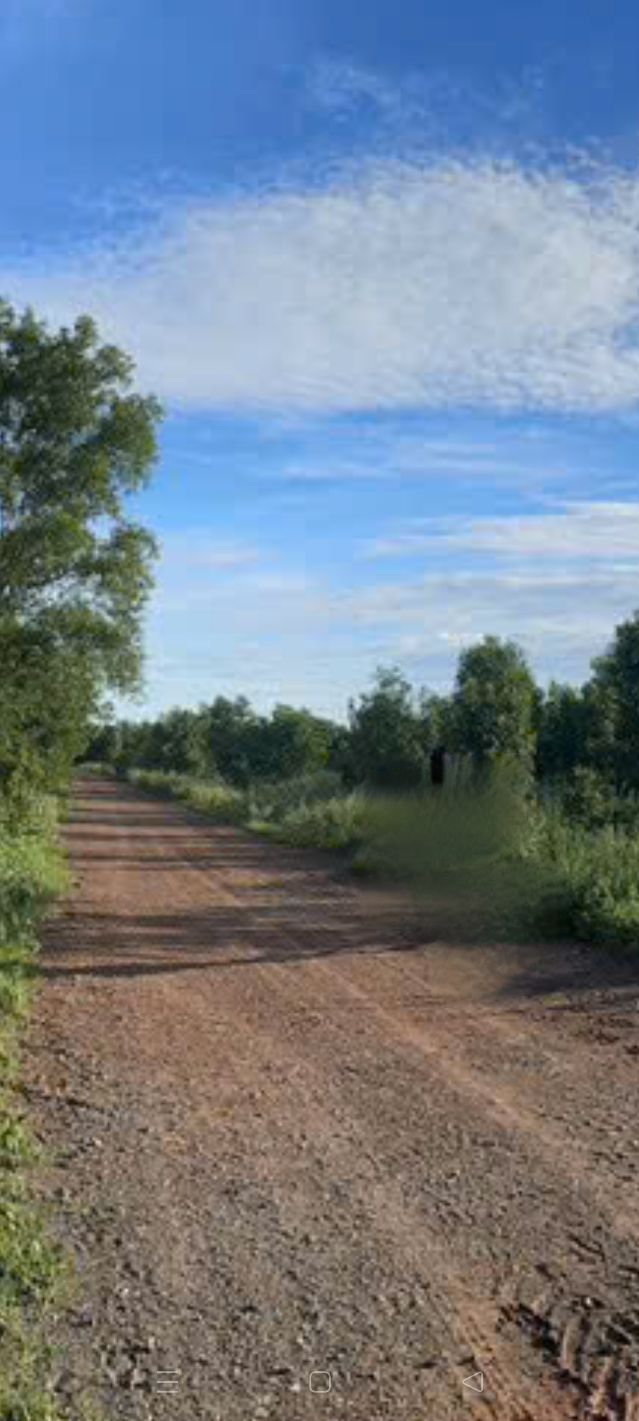 Lô đất farm 36.000m² tại Hàm Đức, Bình Thuận - Giá chỉ 1.296 tỷ, cơ hội đầu tư tuyệt vời!