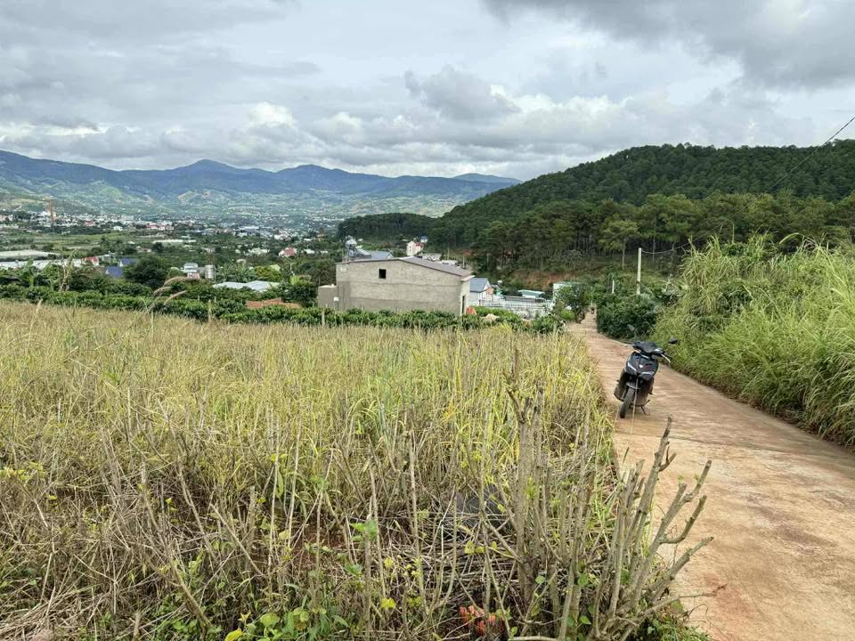 Đất nền chính chủ 518m² tại xã Nam Ban, Lâm Hà - Giá chỉ 1.5 tỷ, pháp lý rõ ràng!