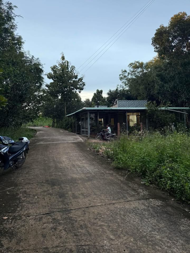 Đất thổ cư Lộc Thái 100m² giá chỉ 300 triệu - Cơ hội đầu tư tốt!