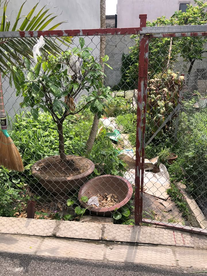 Đất chính chủ Gia Lâm 42m² giá 4 tỷ - Sổ đỏ sẵn sàng