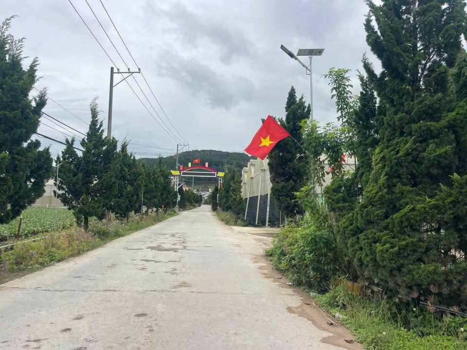 Đất nền Lạc Lâm, Đơn Dương 741m² - Giá thương lượng chính chủ!