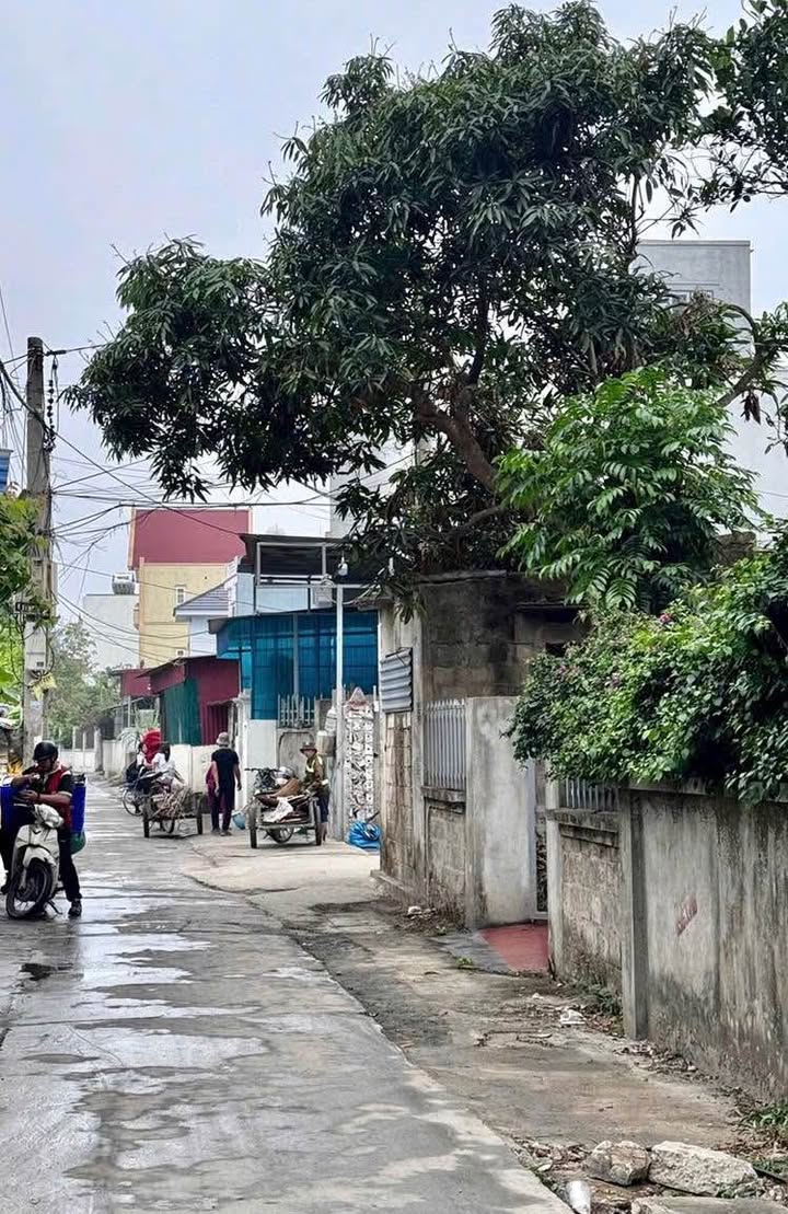 Đất nền Hoa Động, Thủy Nguyên 77.5m² giá 2 tỷ - Vị trí đắc địa, cơ hội đầu tư hấp dẫn!