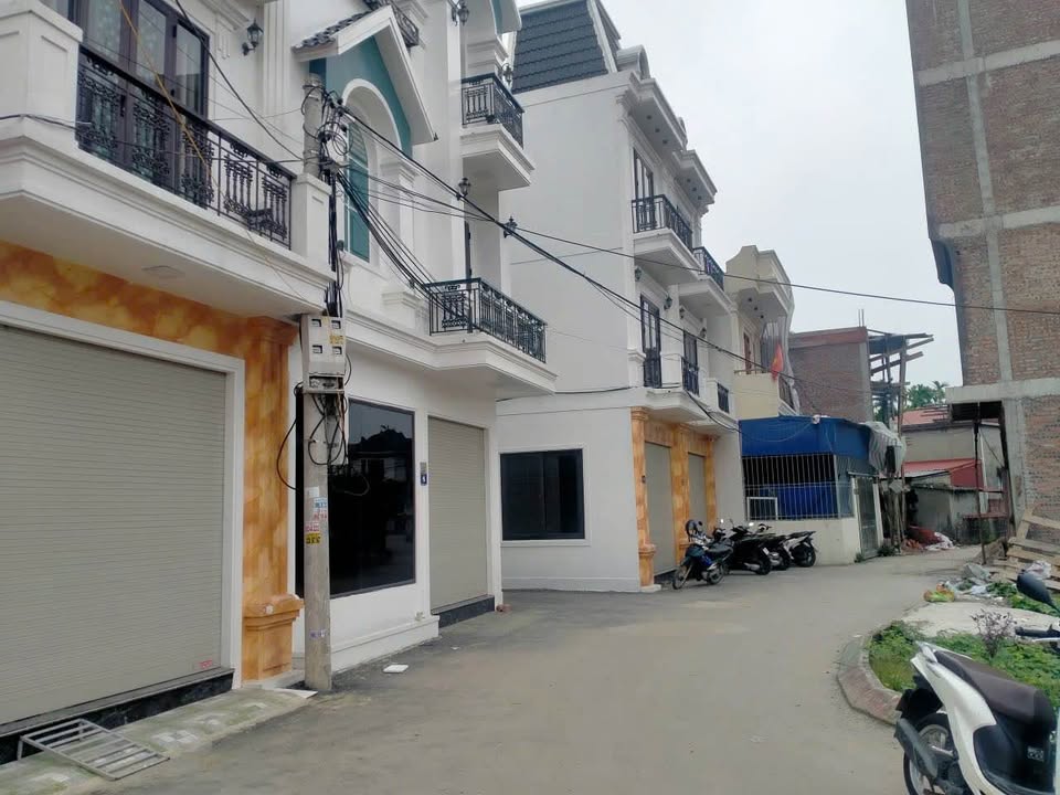 Lô đất góc 50m² tại Đào Yêu, An Hải - Tiềm năng đầu tư lớn chỉ 1,3 tỷ!