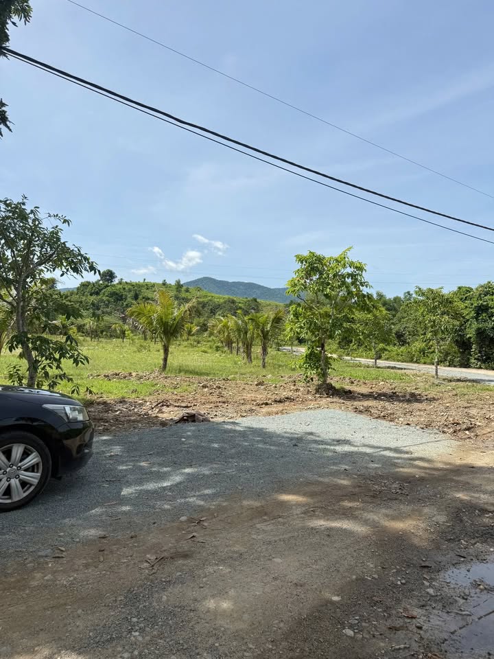 Đất nền Diên Hoà, Diên Khánh, Khánh Hoà 1358m² giá 1.69 tỷ - Sổ đỏ chính chủ!