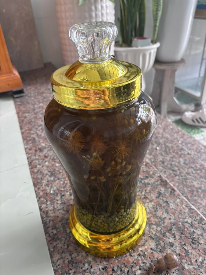 Nhà cấp 4 lô góc đường Hoàng Minh Thảo Nha Trang 112.7m² giá 3.2 tỷ - Chính chủ bán gấp!