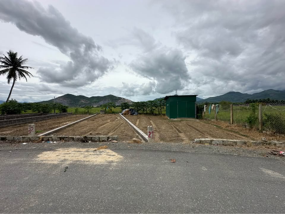 Đất thổ cư 99,4m² tại khu phố Tân Sinh, Diên Điền - Giá chỉ 899 triệu!