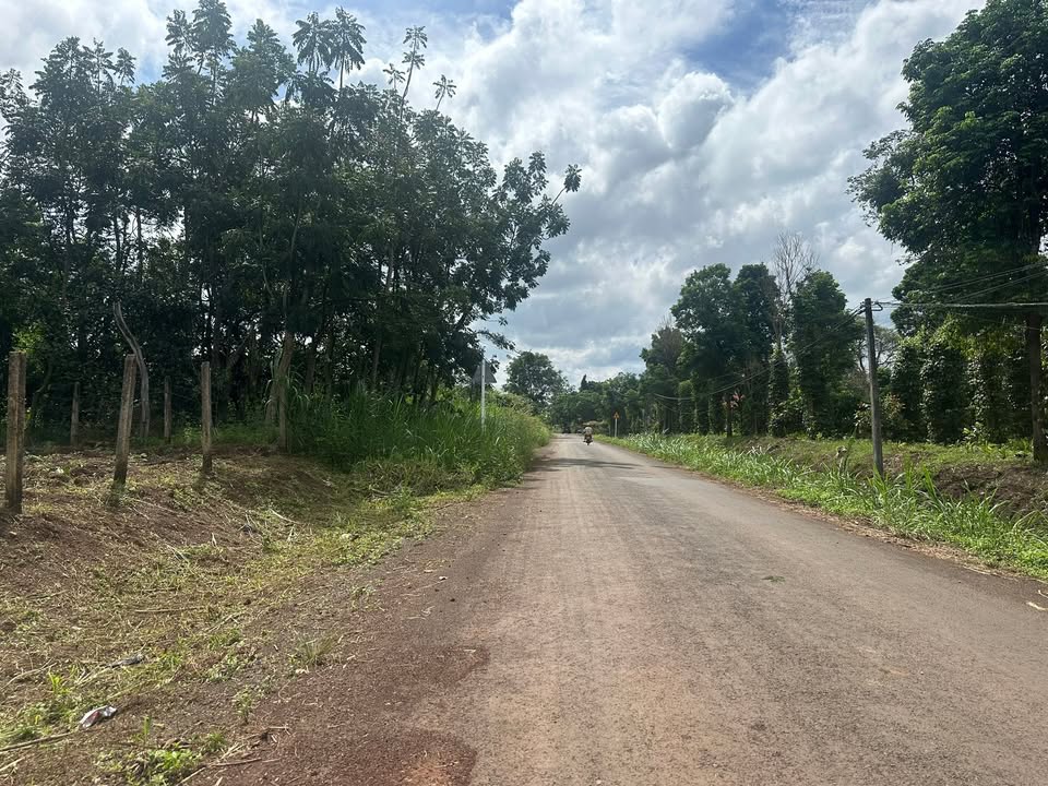 Đất nền 900m² tại Quảng Hiệp, Cư M'gar - Giá chỉ 1,8 tỷ, thích hợp làm nhà vườn!