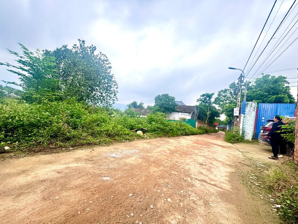 Đất nền Ao Mây, Hợp Châu, Tam Đảo 150m² giá 700 triệu - Cơ hội đầu tư hấp dẫn!