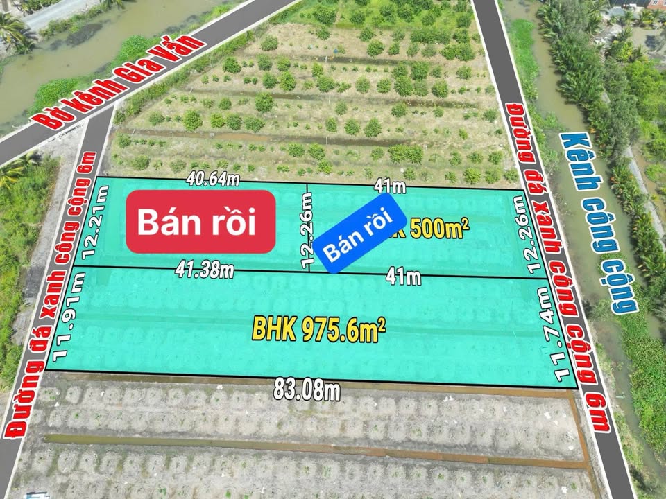 Đất vườn 976m² tại Bình Đức, Bến Lức - Giá chỉ 1.1 tỷ - Đầu tư sinh lời cao!