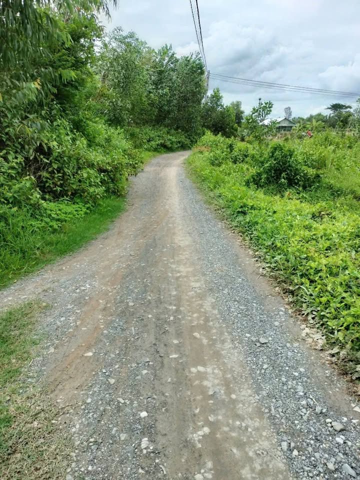 Đất nền ấp Mỹ Lợi, xã Mỹ Thạnh Tây, Đức Huệ 22000m² giá 300 triệu - Cơ hội đầu tư hấp dẫn!