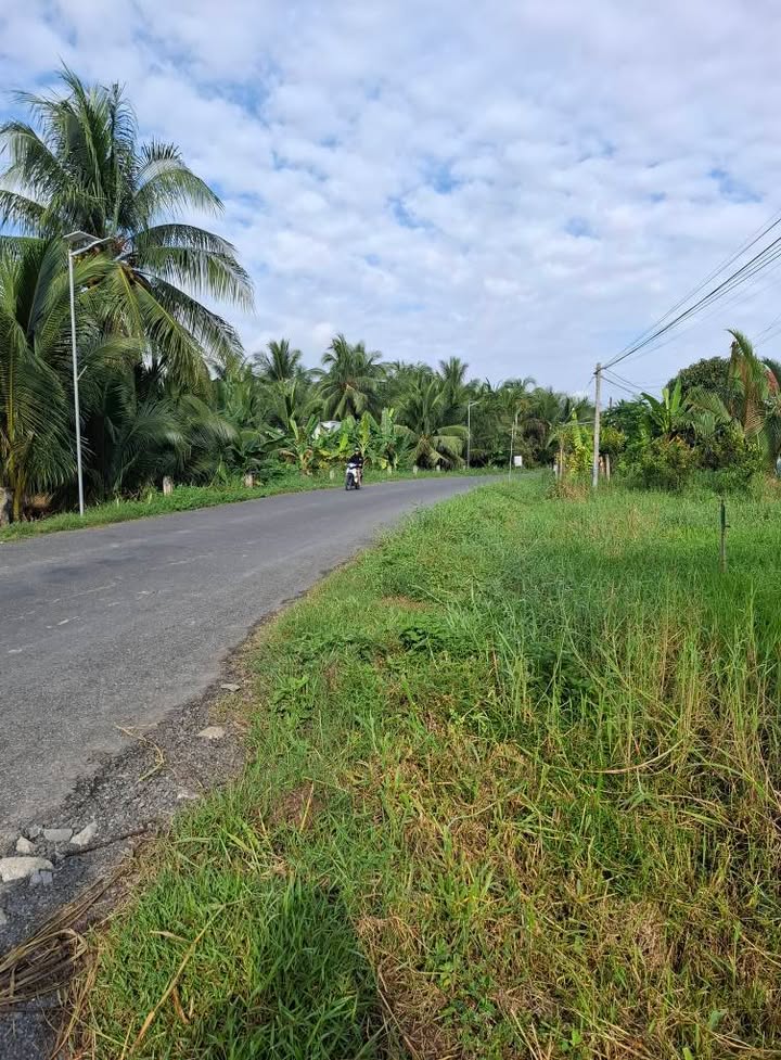 Đất vườn mặt tiền lộ nhựa 907 xã Trung Ngãi 2676m² giá 3.7 tỷ - Cơ hội đầu tư tuyệt vời!