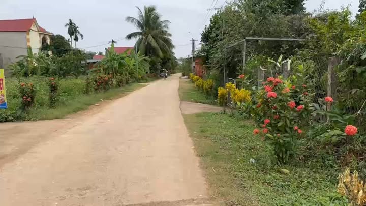 Đất thổ cư 1606m² tại Thành Minh, Thạch Thành giá 1.6 tỷ - Cơ hội đầu tư tuyệt vời!