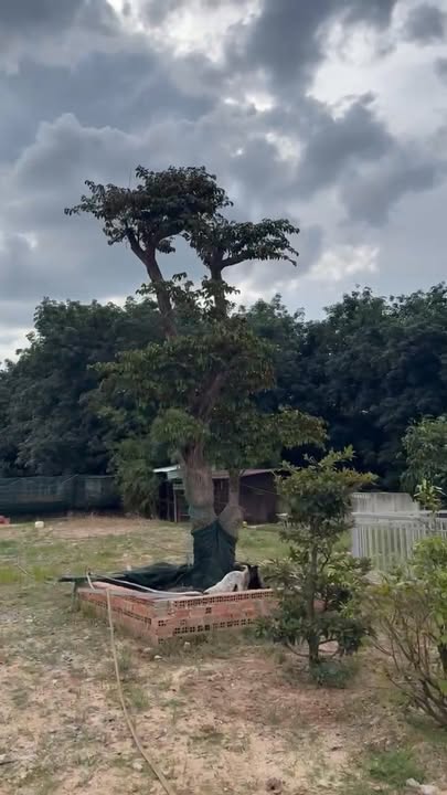 Đất nền 2591m² mặt tiền đường Nguyễn Văn Thành - Cơ hội đầu tư tuyệt vời!