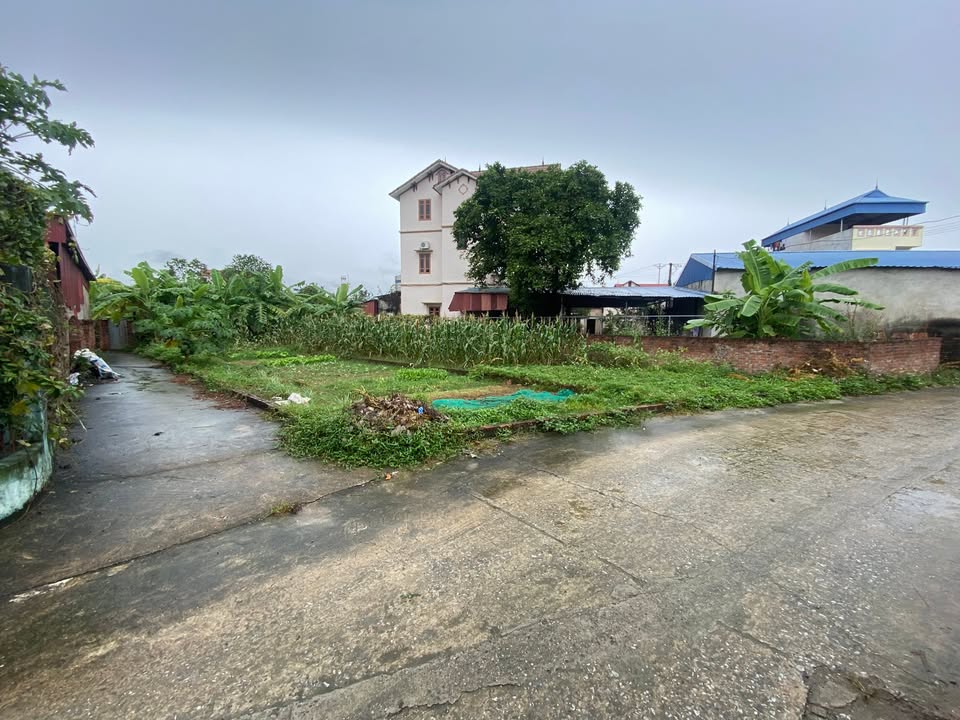 Đất Vệ Sơn Đông Tân Minh 84m² giá 1.3 tỷ - Bán gấp cắt lỗ!