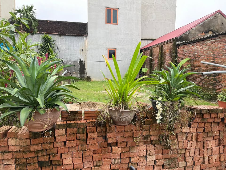 Lô đất Xuân Dục, Sóc Sơn 95m² giá chỉ 2 tỷ - Vị trí đắc địa, đầu tư sinh lời!