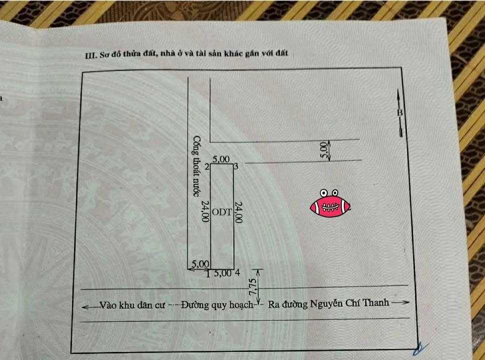 Đất nền khu tái định cư Tân Phát 120m² giá 3 tỷ - Cơ hội đầu tư hấp dẫn!